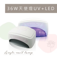B23 36W天使燈UV+LED【5折】