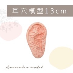DM1 耳穴模型13cm(買1送1)
